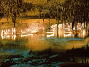 Grotte del drago